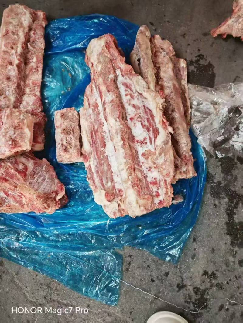 母猪带肉脊骨，7吨