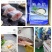 品名：鲅鱼馅24斤一箱，一箱24包，一包一斤