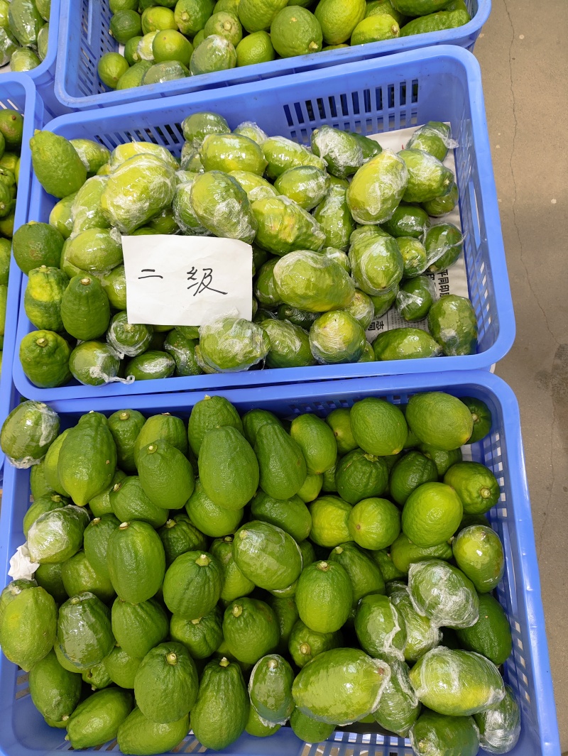 广东无籽香水柠檬
