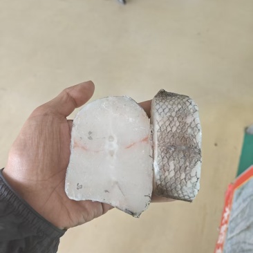 鳕鱼片