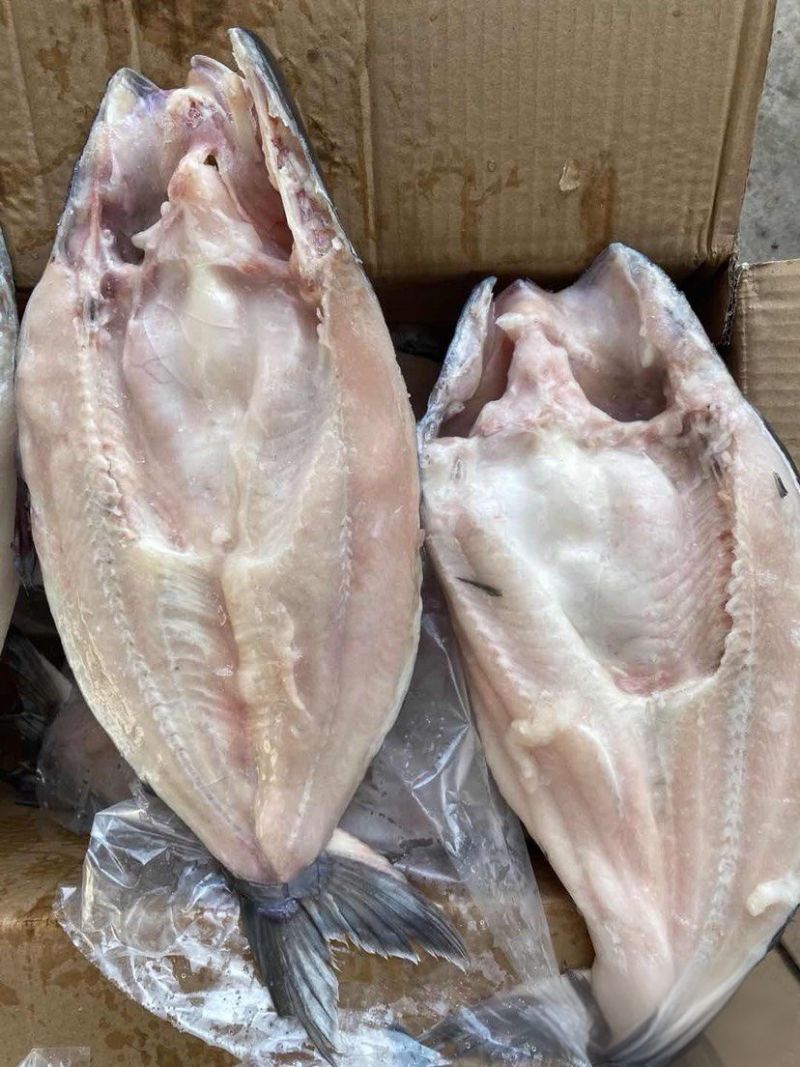 纯干巴沙鱼一手货源规格齐全大量现货量大从优