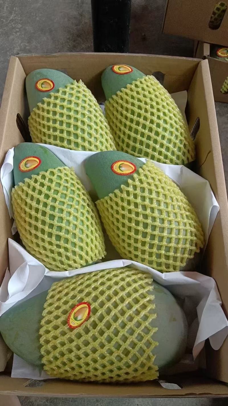 广西百色芒果
