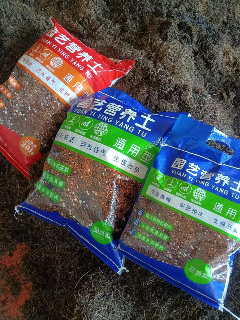 松针腐殖土