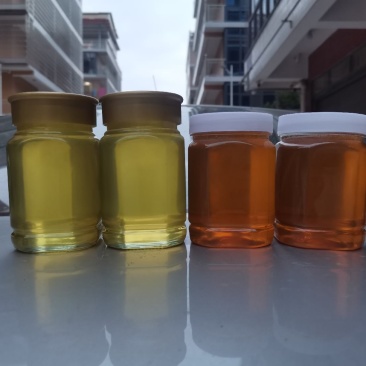 自家养中蜂土蜂蜜