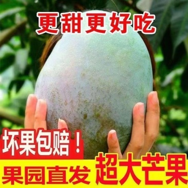 攀枝花凯特芒果一件代发