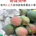 攀枝花凯特芒果一件代发