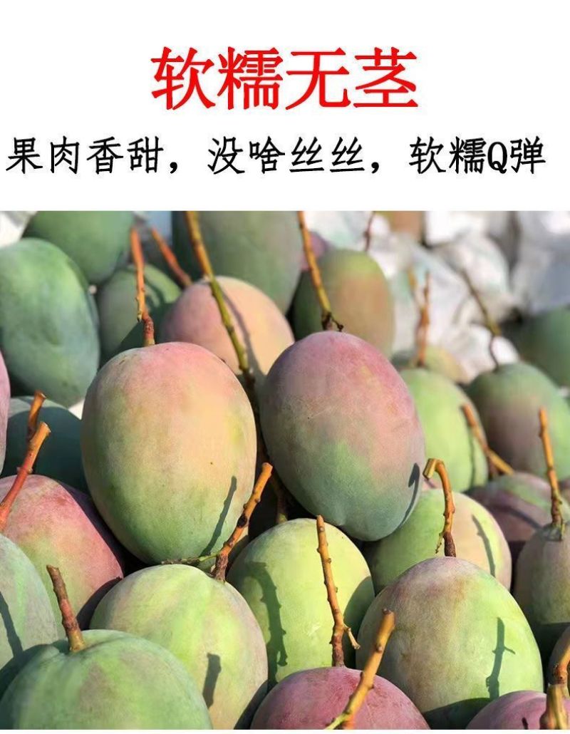 攀枝花凯特芒果一件代发