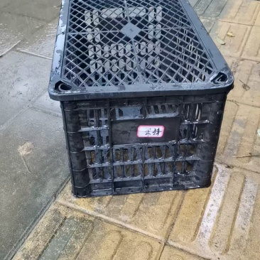 60cm*29cm*25cm