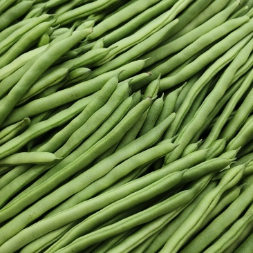 小金豆