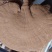 灵芝，灵芝孢子粉，桑黄，铁皮石斛
