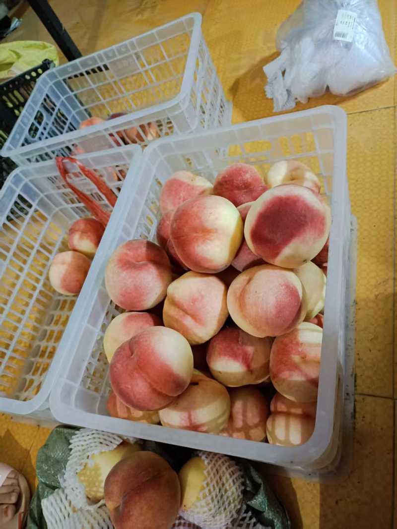初夏红桃