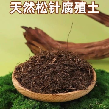松针腐殖土