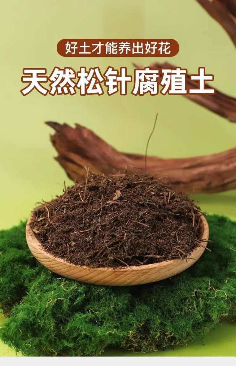 松针腐殖土