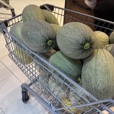 哈密瓜