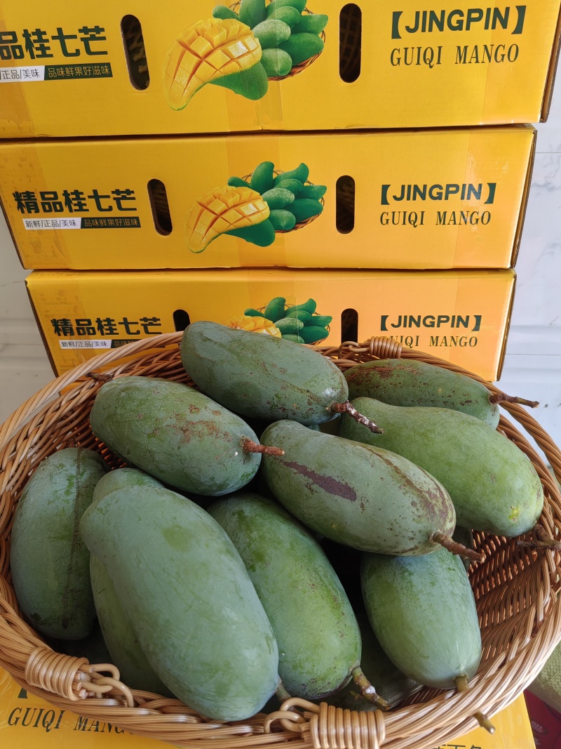 百色桂七芒果