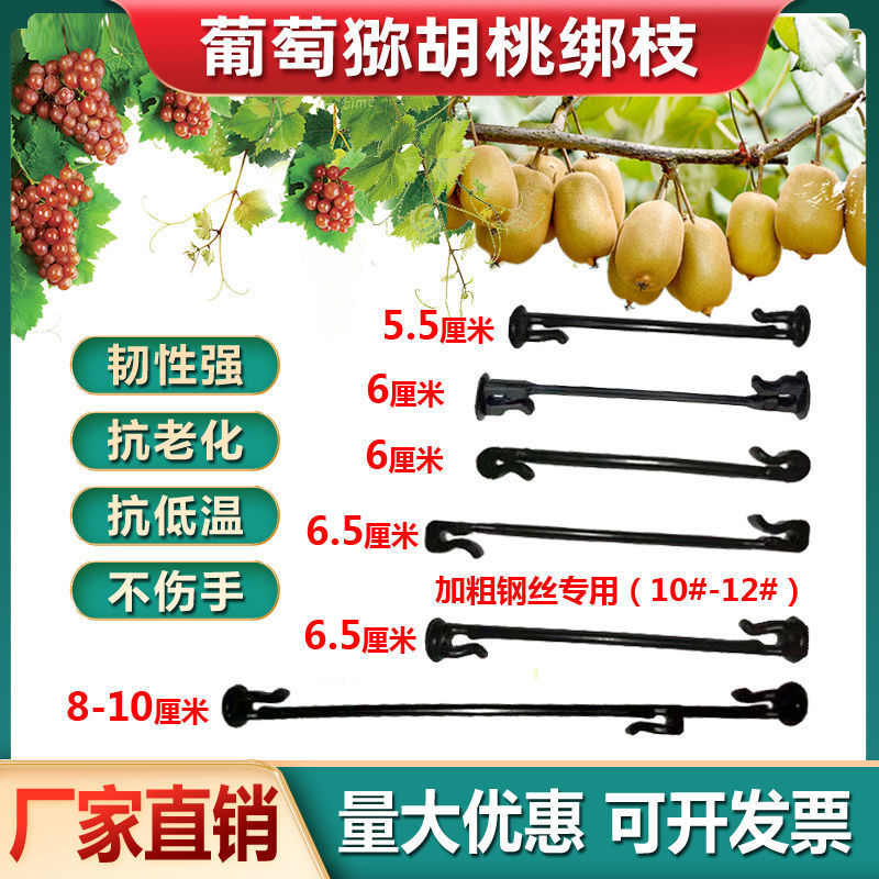 葡萄绑枝卡扣