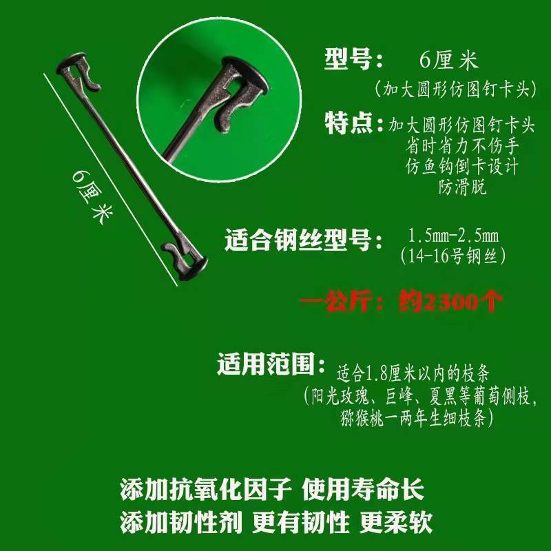 葡萄绑枝卡扣