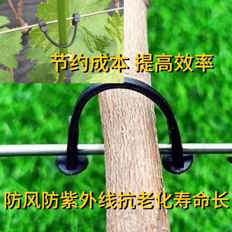 葡萄绑枝卡扣