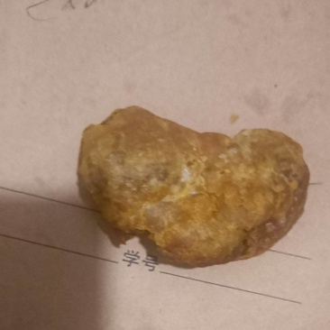贵州土鸡鸡宝出售。这是正宗的土鸡鸡宝。需要的可以上门