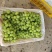 新疆无核白葡萄