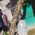 30岁海南黄花梨老树