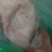 猪耳朵，没什么肉，买多了一件，用不了那么多