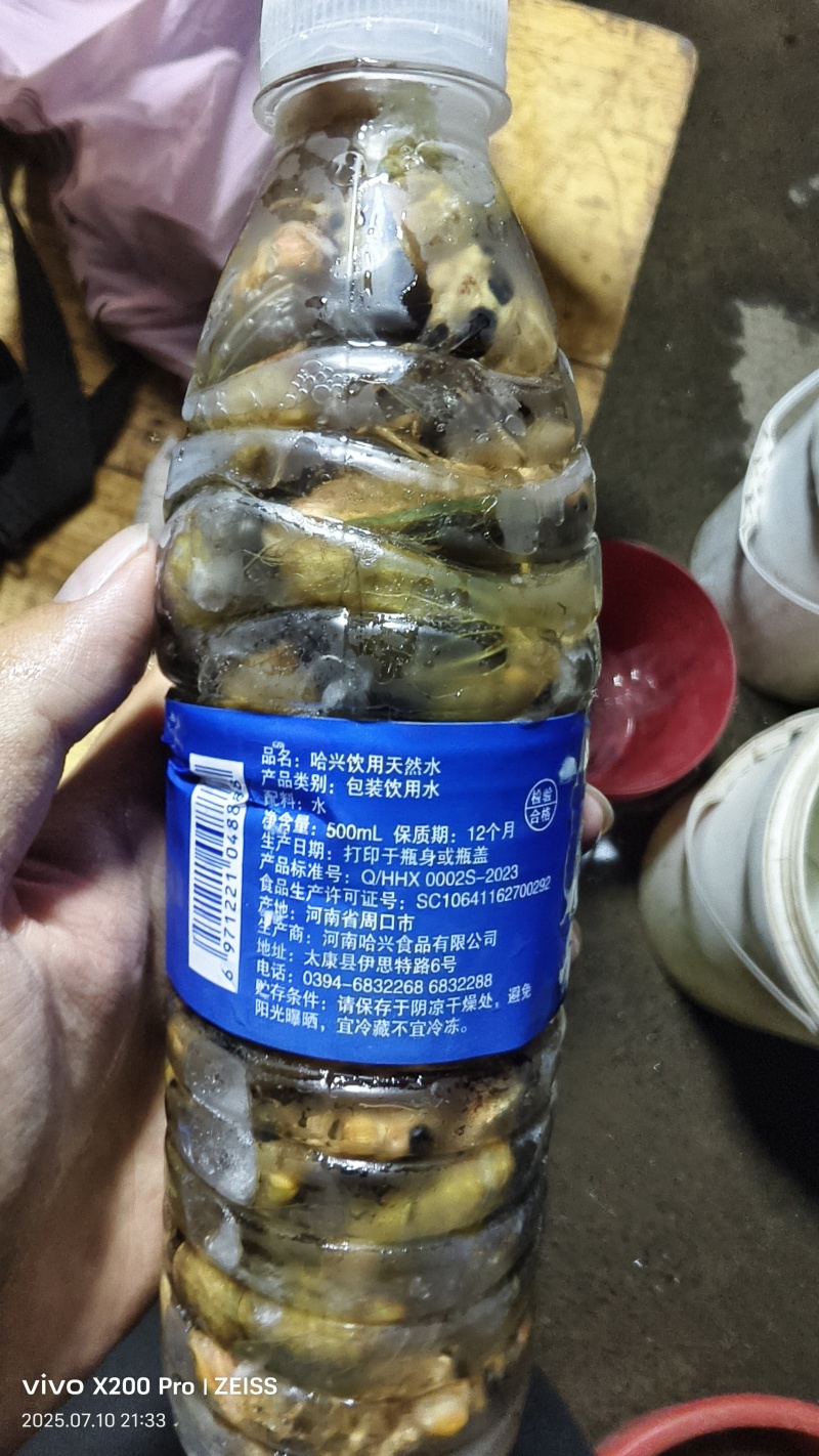 河南野生鲜活金蝉白婵