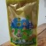 深山老茶毛冬青