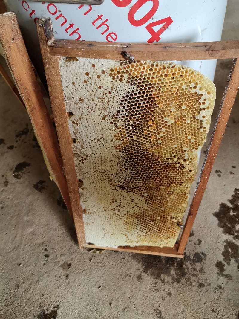 正宗土蜂蜜