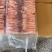 大中小鸭舌都有，品质优