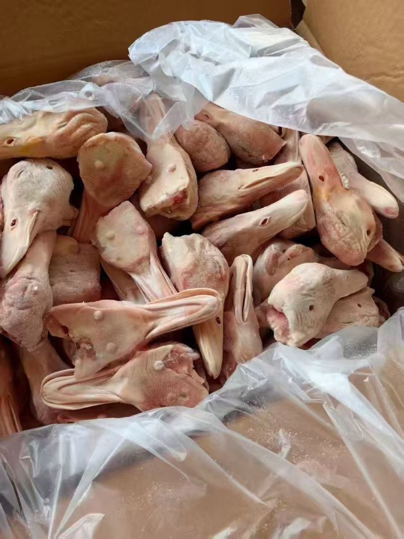 带舌鸭头有货