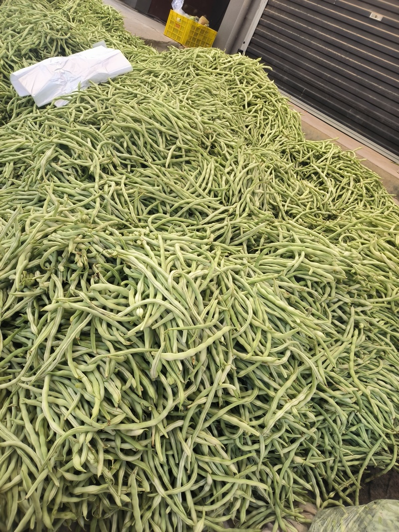 优质豆角