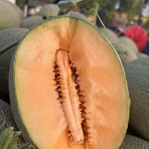 哈密瓜