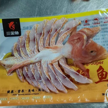 开背红斑鱼功夫红斑鱼