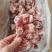 多肉羊棒骨，新鲜，20斤装
