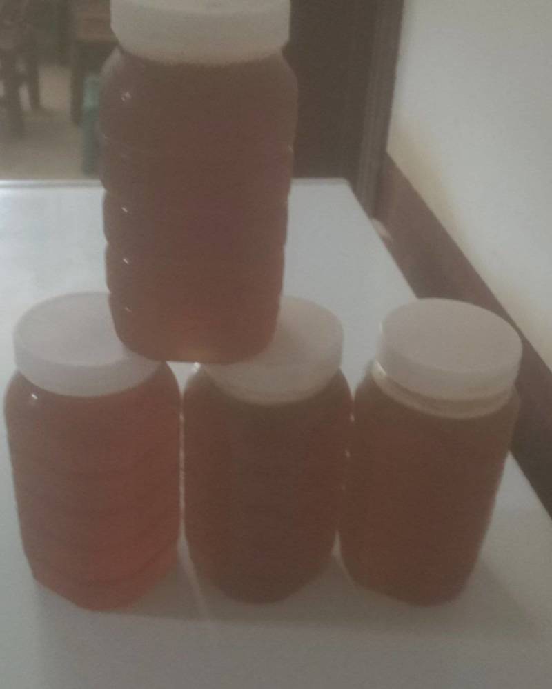 正宗土蜂蜜