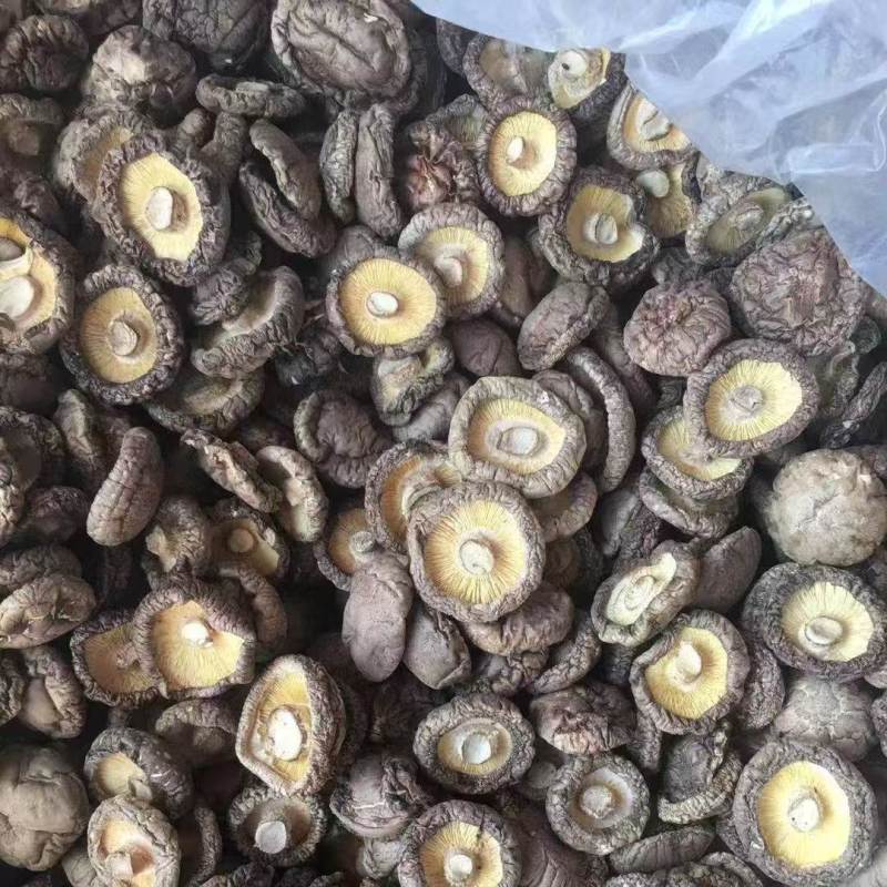 农家干香菇
