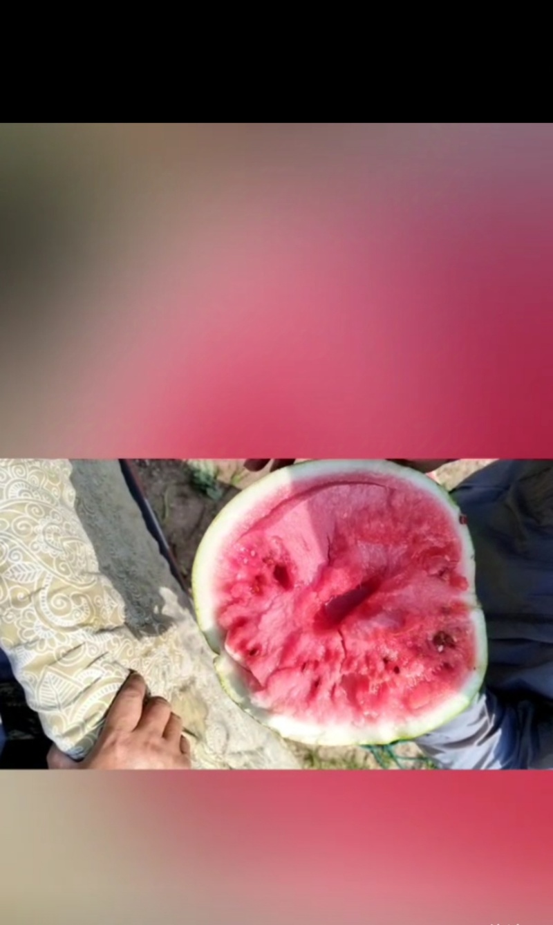 山地小黄籽西瓜