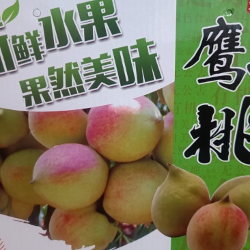 蜂蜜鹰嘴桃