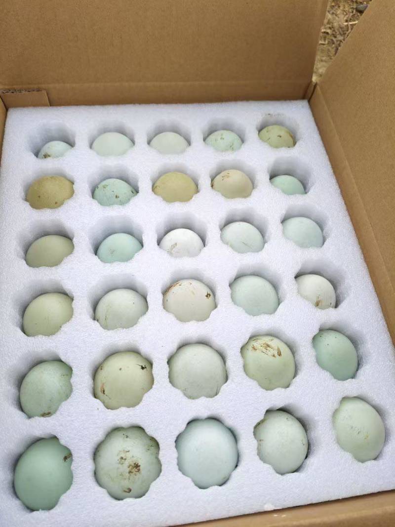 贵州土鸡蛋