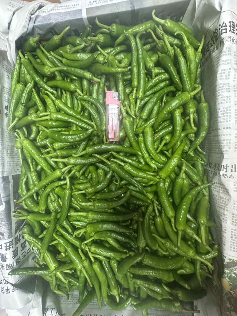 鲜辣椒