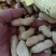 鲜花生大量有货有大白鲨，四粒红，欢迎各位老板下单