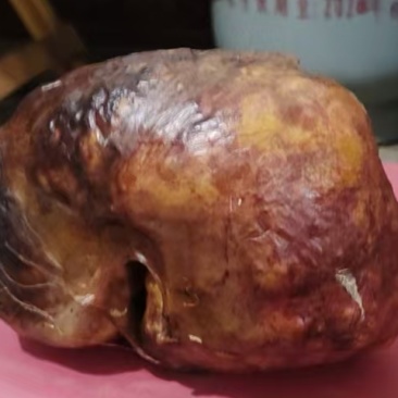 鸡宝