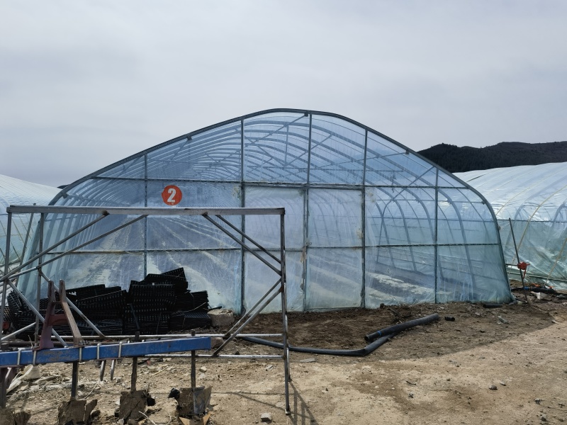 蔬菜大棚
