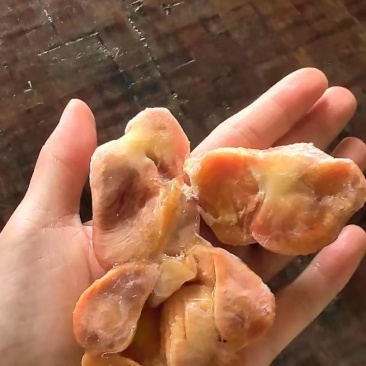 清远鸡胗