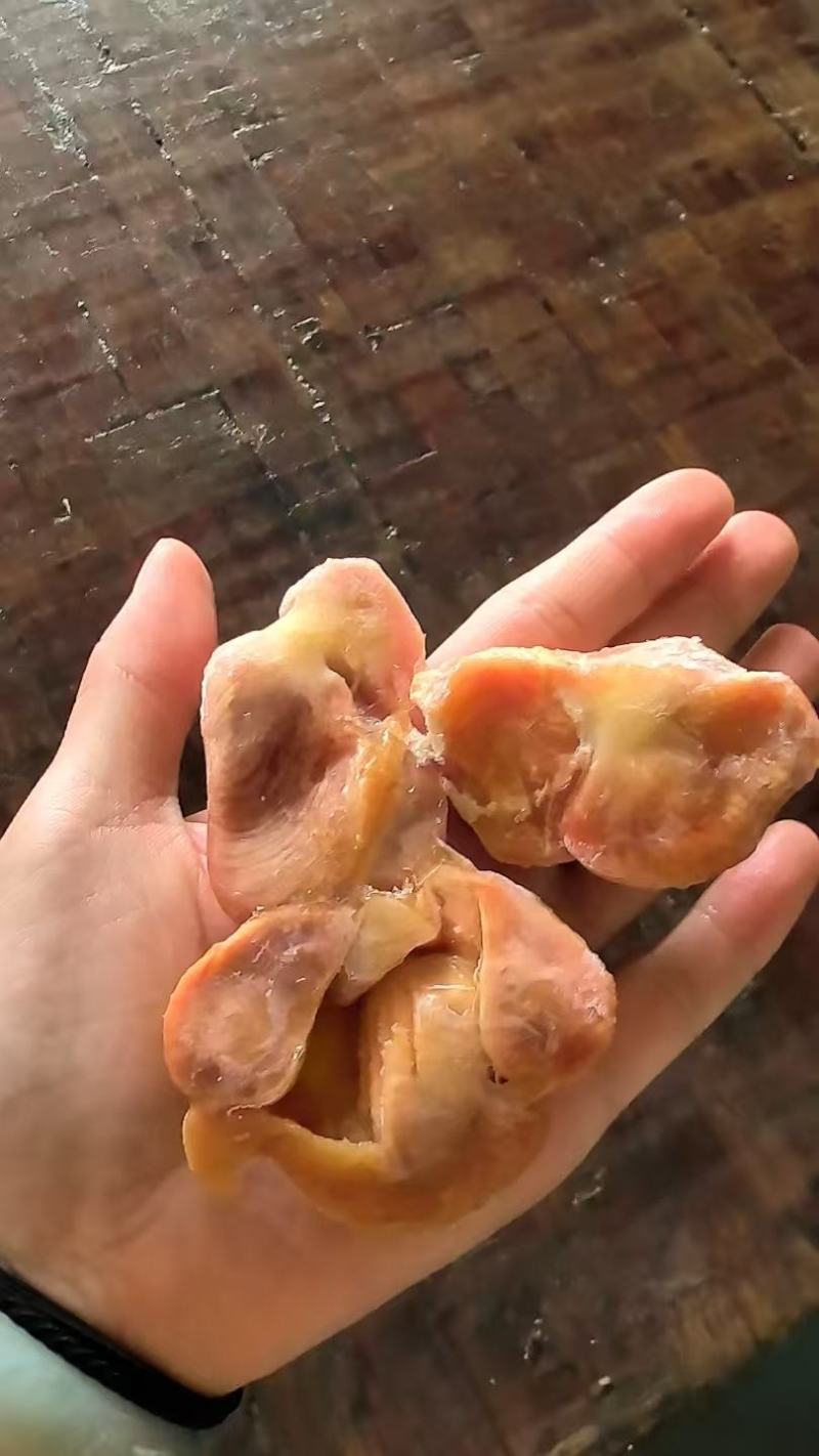 清远鸡胗