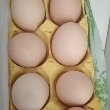 鸡蛋