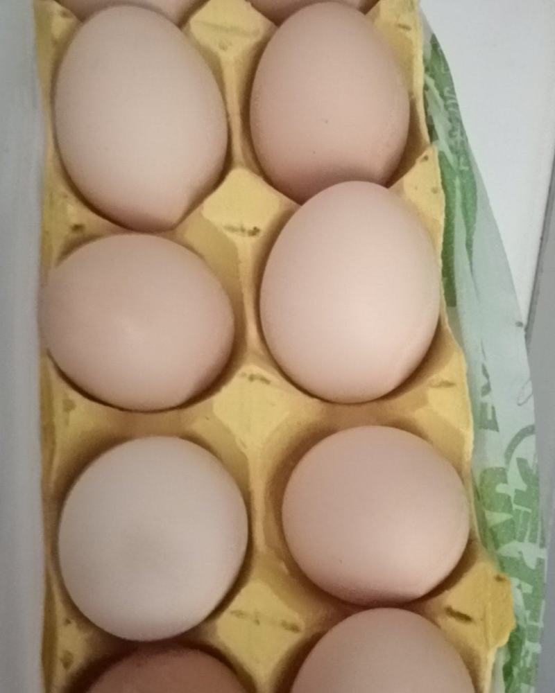 鸡蛋