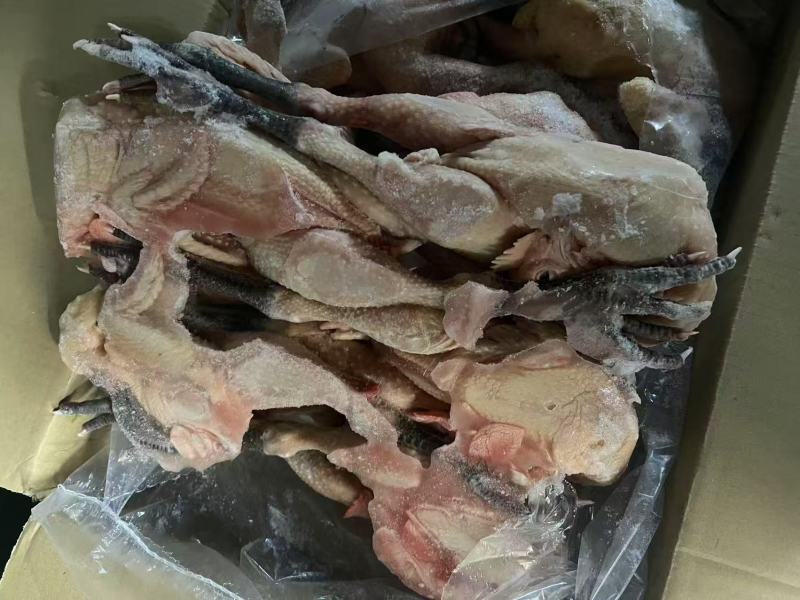 麻公鸡有货