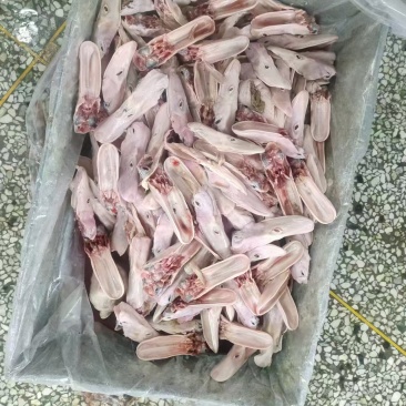 鸭上颚有货